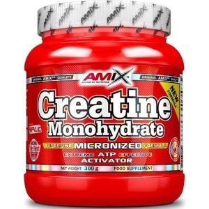 CREATINE MICRONIZED 300GR - AMIX